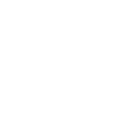 codingIcon