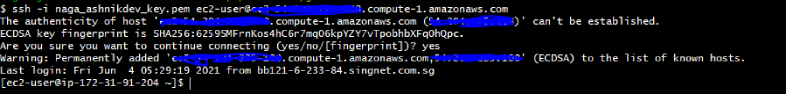 Install Jenkins on AWS EC2 Instance using Terraform! 11 SSH via public DNS